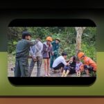 آیا برای بازی پول واقعی نیاز است؟ بررسی کامل نیازمندی‌ها و نکات مهم در سایت شرط بندی