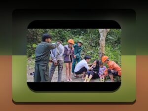 آیا برای بازی پول واقعی نیاز است؟ بررسی کامل نیازمندی‌ها و نکات مهم در سایت شرط بندی